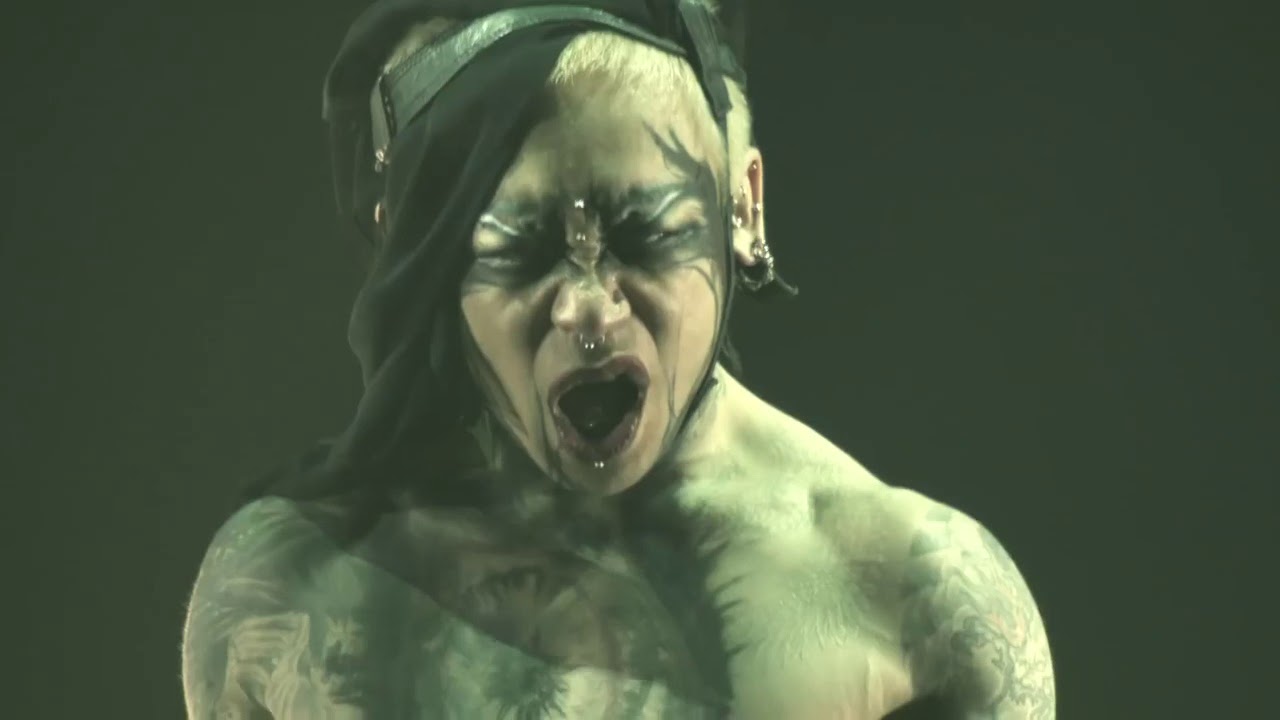 Dir en Grey - Sustain the untruth (Arche live) HQ