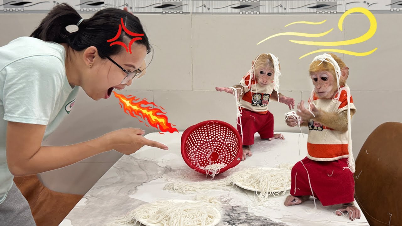 Mom yelled in anger after discovering that Lucky and Sunny had ruined the basket of noodles!