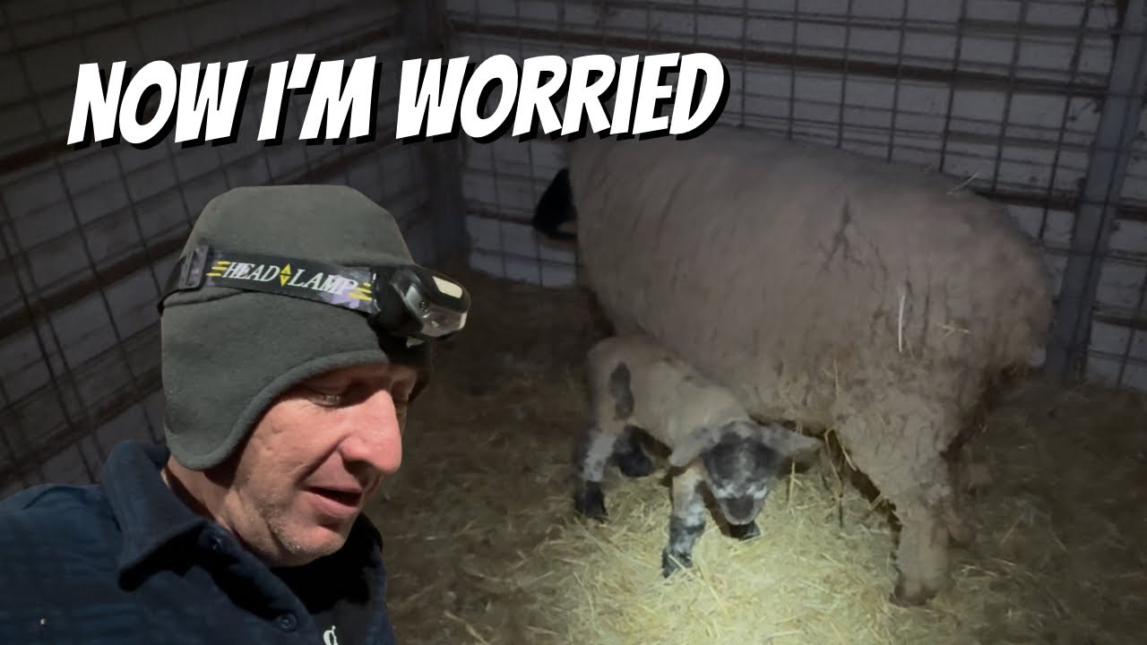 Just Born And COLD WEATHER Moving In