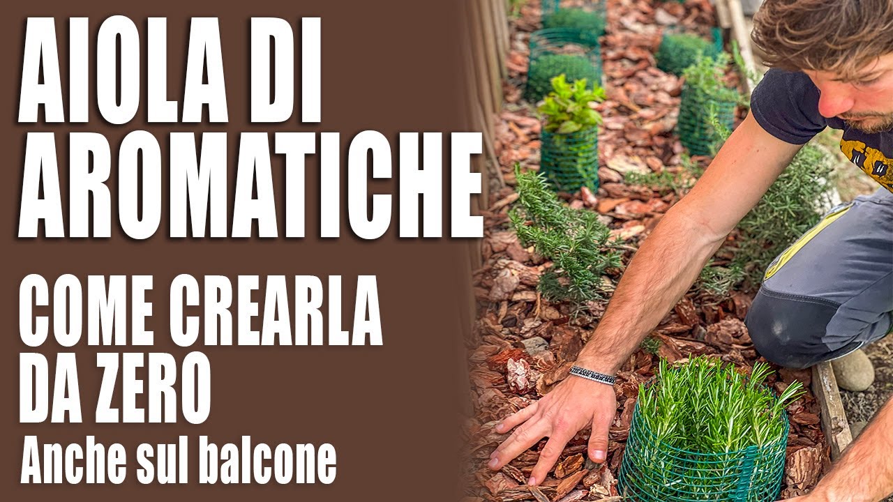 Come CREARE una AIOLA di erbe AROMATICHE (anche sul balcone)