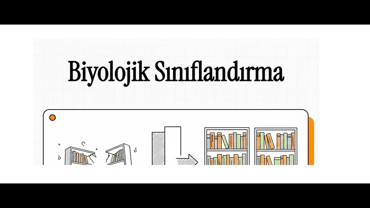 9. Sınıf Biyoloji | Maarif Modeli | Canlıların Sınıflandırılması
