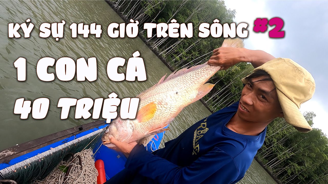 144 GIỜ MƯU SINH TRÊN SÔNG #2 | TỔ ĐÃI 1 CON CÁ HƠN 30 TRIỆU LÀ CÓ THẬT #sangsanbat 2