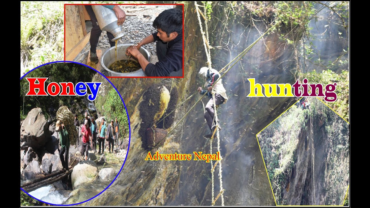 Honey hunting in Kuinemangale  | Myagdi Nepal | Honey Hunters - Full Documentary| भीरमह शिकारकाे कथा