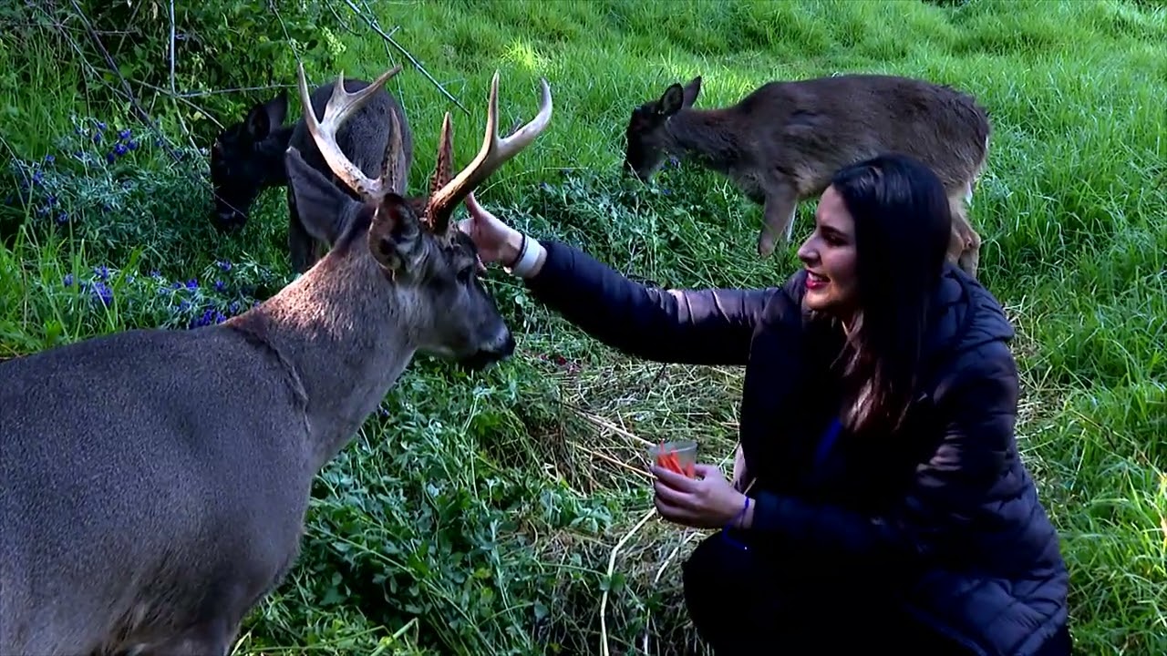 Reportaje casa del venado Cayambe