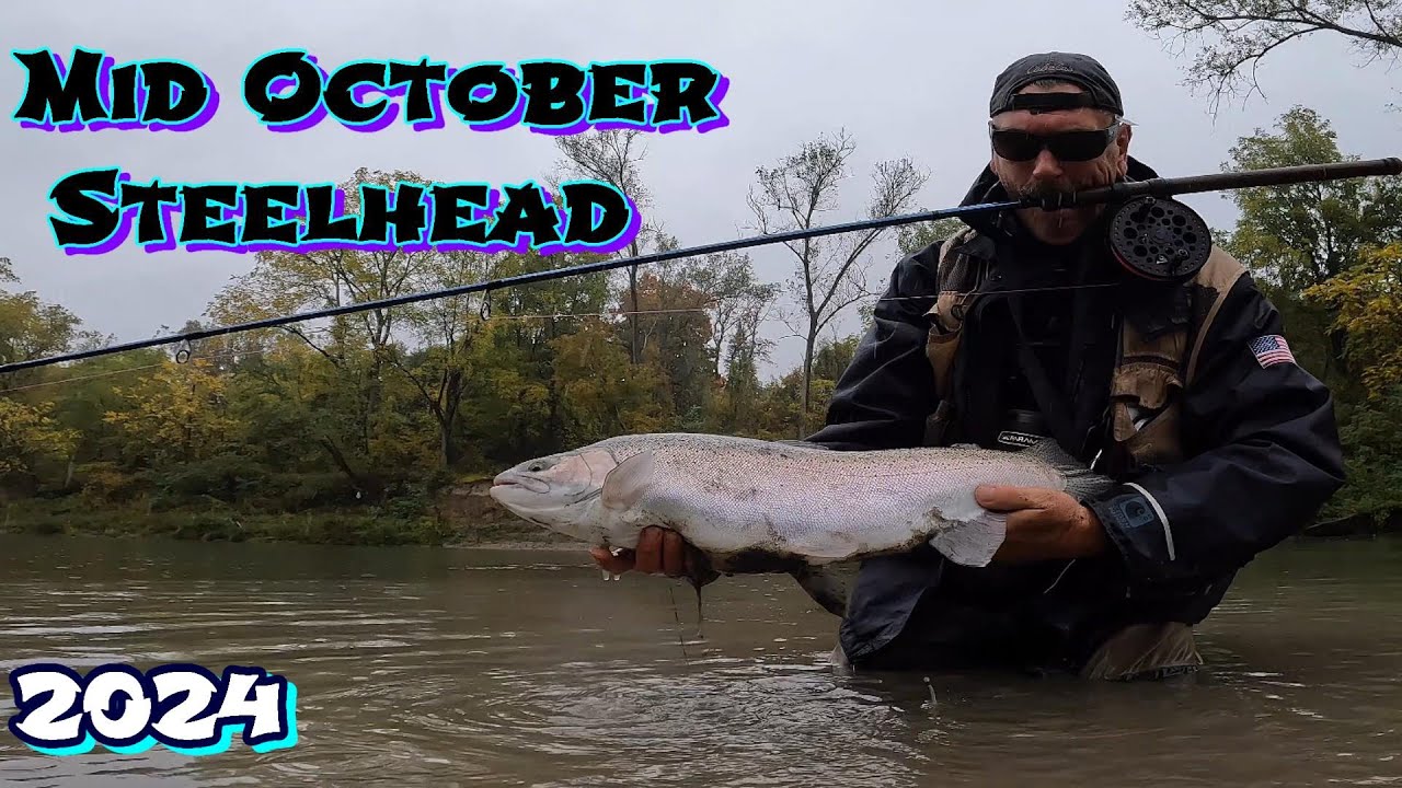 Float Fishing Mid October Steelhead 2024