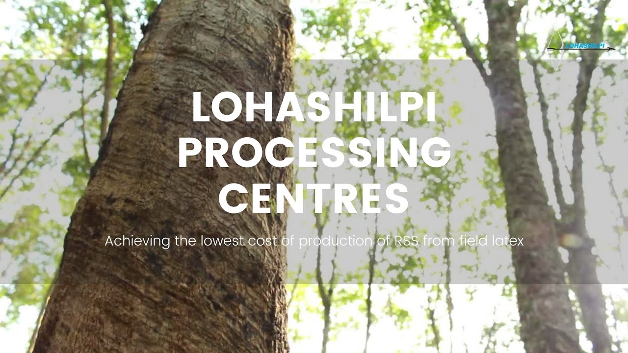 Lohashilpi Rubber Processing Centres