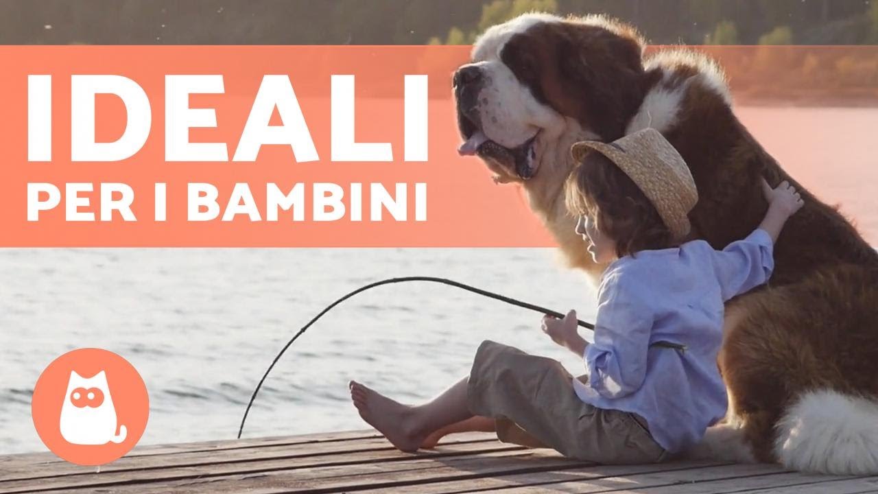 10 Razze DI CANI per BAMBINI 🐶👧🏼 Scoprile!