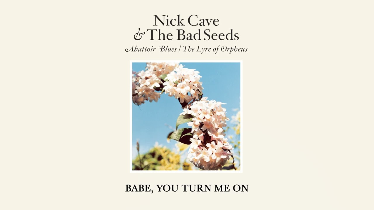 Nick Cave & The Bad Seeds - Babe, You Turn Me On (Official Audio)