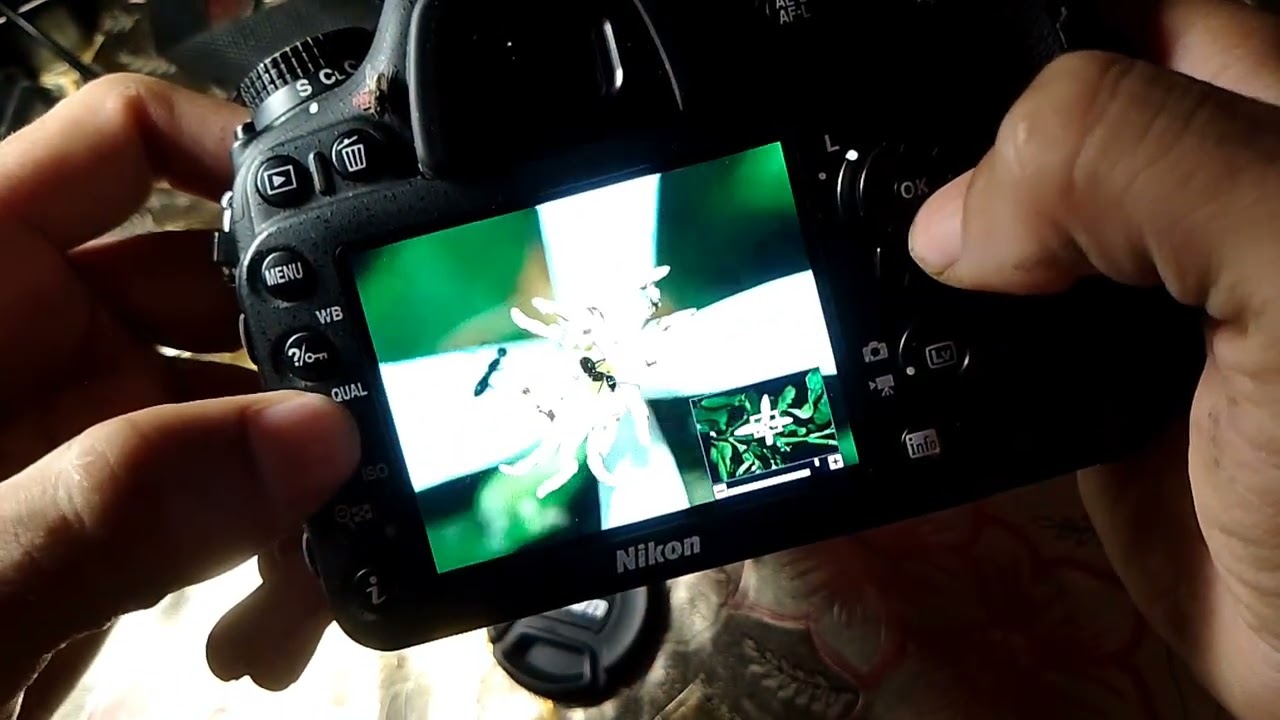 Nikon d 7200 macro photography samples.# nikon d 7200#photography 
