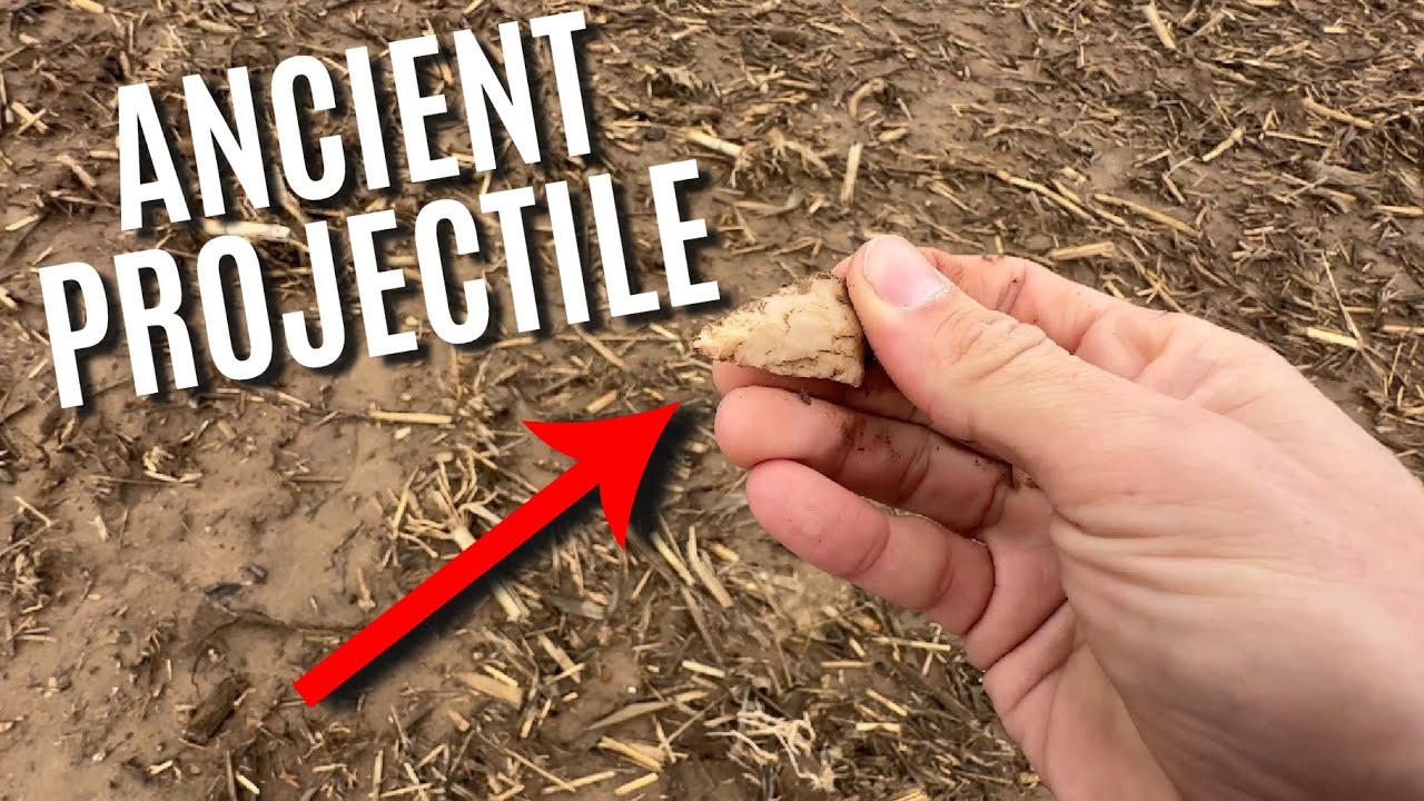 Never Gets Old ! Southern Illinois Arrowhead Hunting #history #nativeamerican #illinois #artifacts
