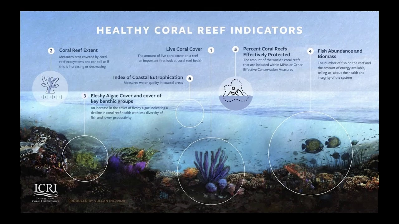 ICRI-prioritising coral reef in the CDB post 2020