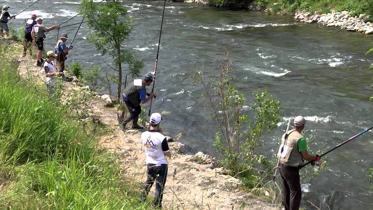 Fipsas   Mondiale Trota torrente PontecaffaroHQ