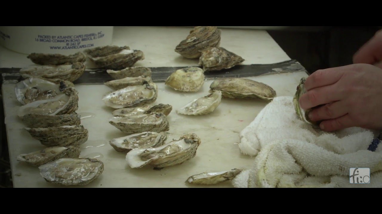 Welcome to Milford Oyster House