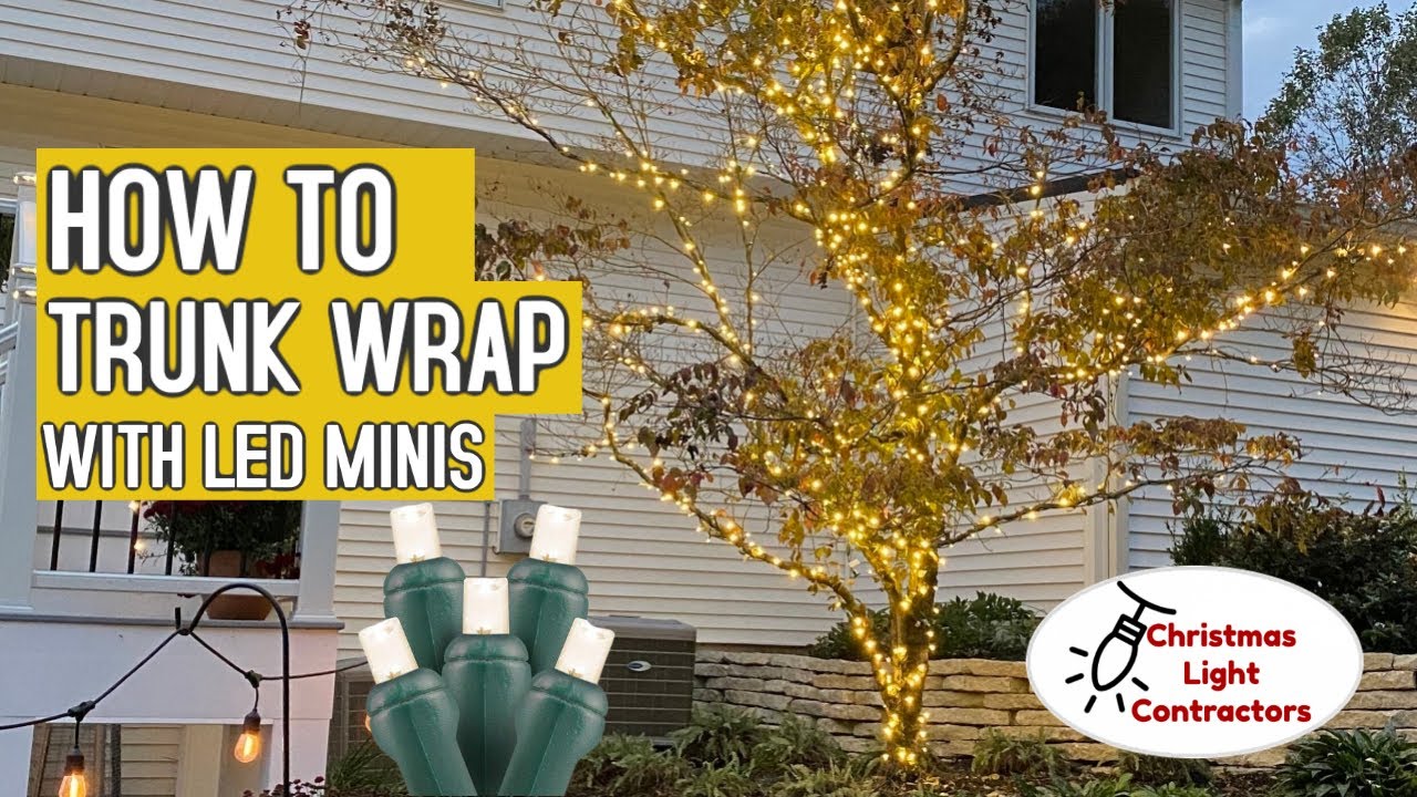 How to Install Christmas Lights: LED Minis on Trunk Wraps