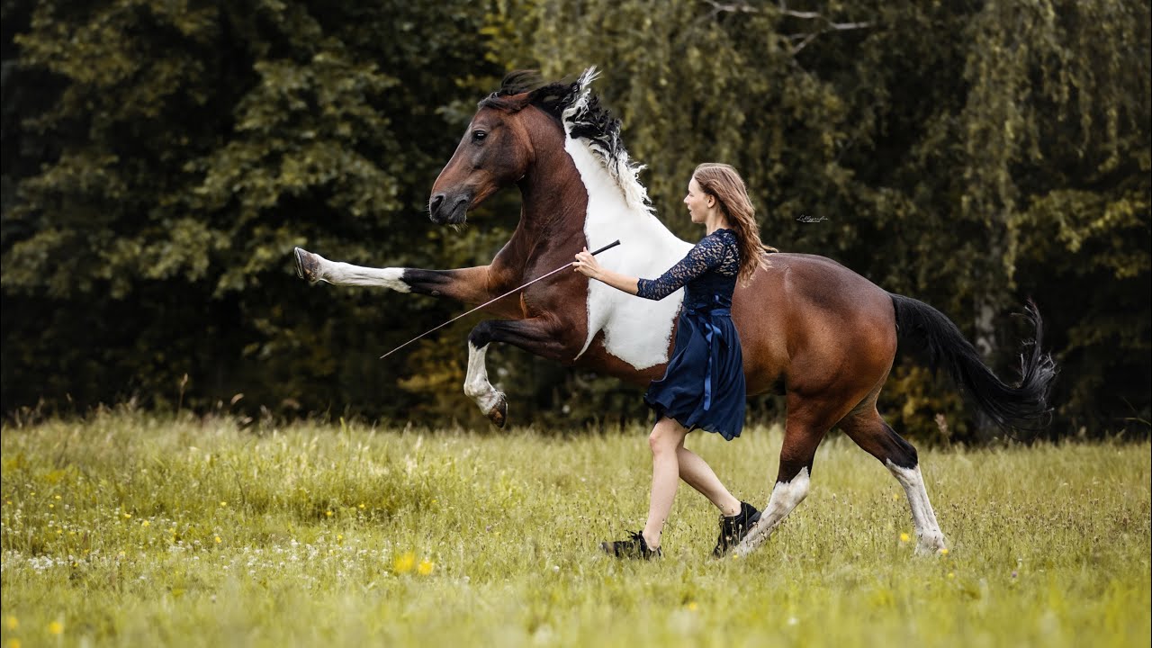 Wild & Free