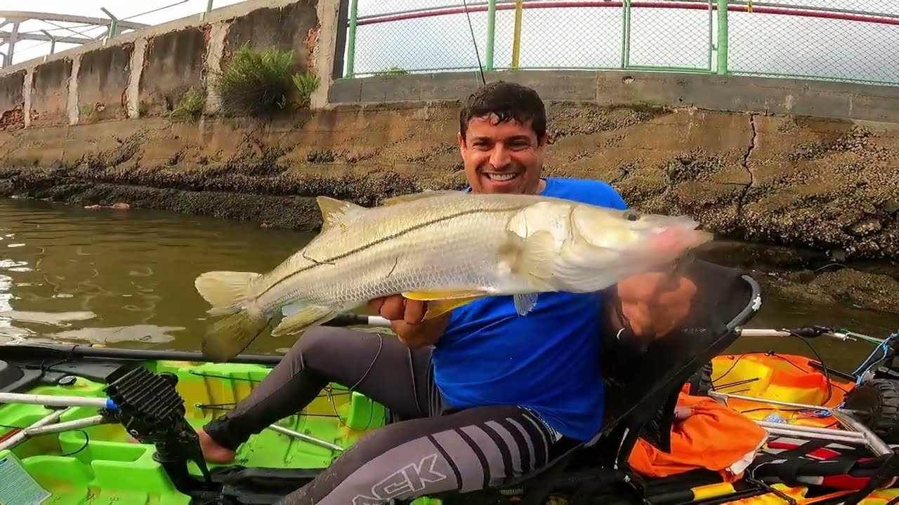    A PONTE DOS PEIXES! Pontinhos que nunca falham.