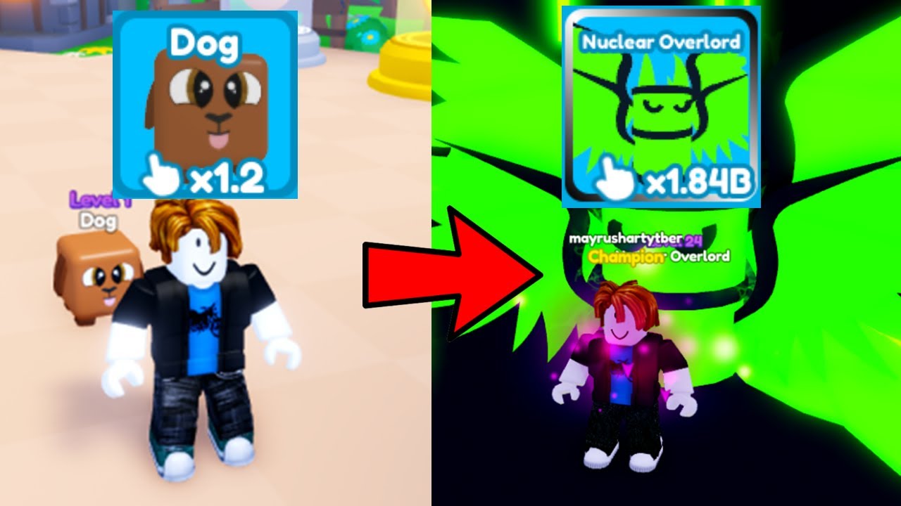 I Hatched The Best Secret Pet And Became A Master In Rebirth Champion X Roblox!