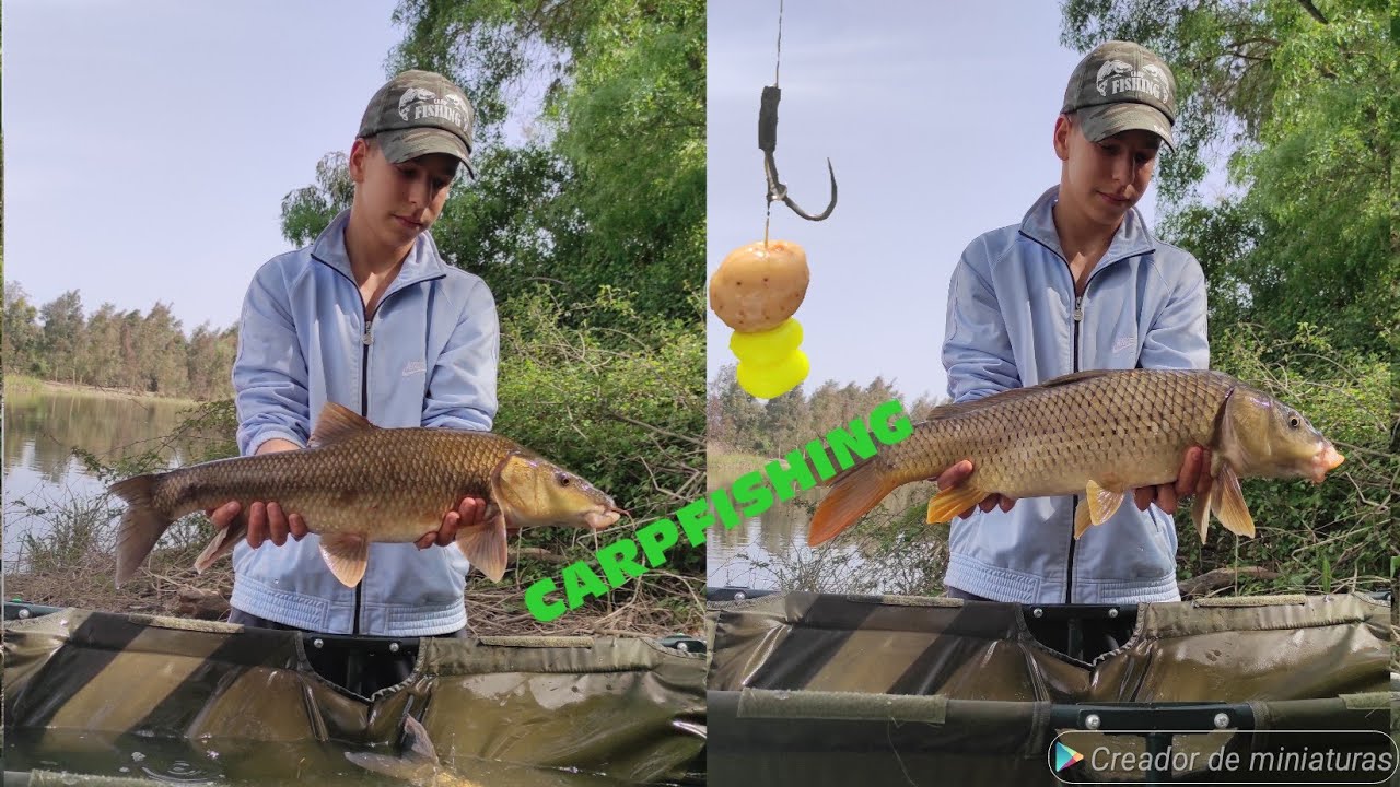 SESION DE BARBOS Y CARPAS EN EL RIO GUADIANA