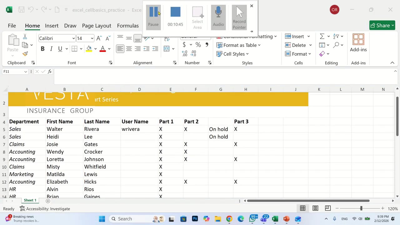 CEll BASICS LESSON  2 EXCEL