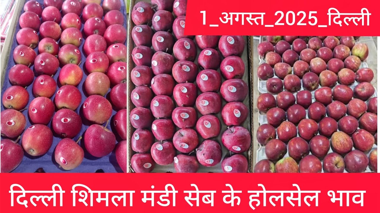 August 1, 2025 दिल्ली शिमला हिमाचल 🍎 सेब के भाव Delhi Himachal apple market price delhi fruit market