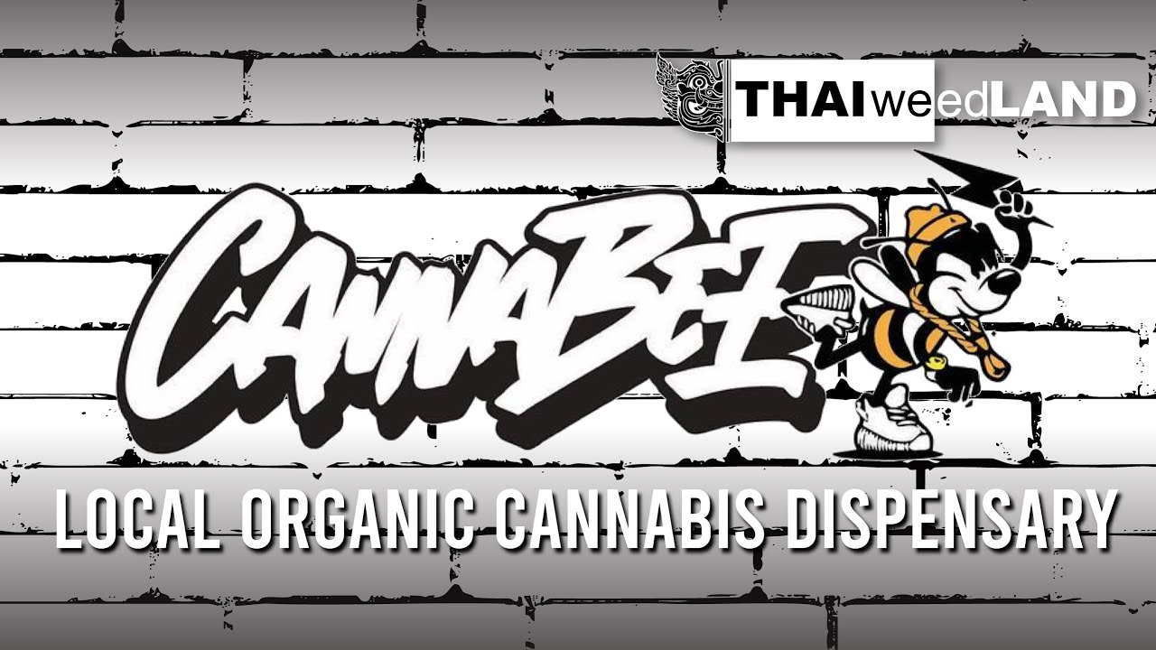 TWL Insight Interview EP16 | Cannabee