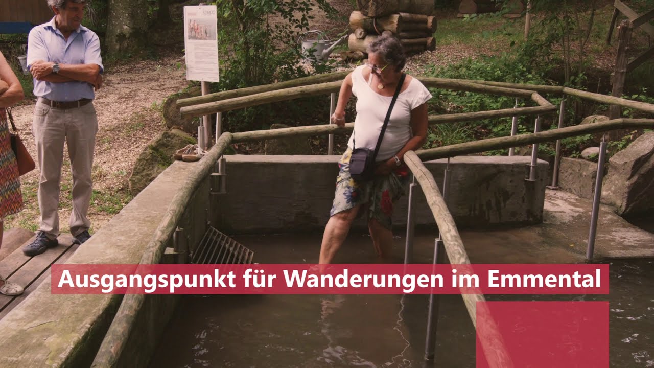 Firmen & Vereine - Sommer