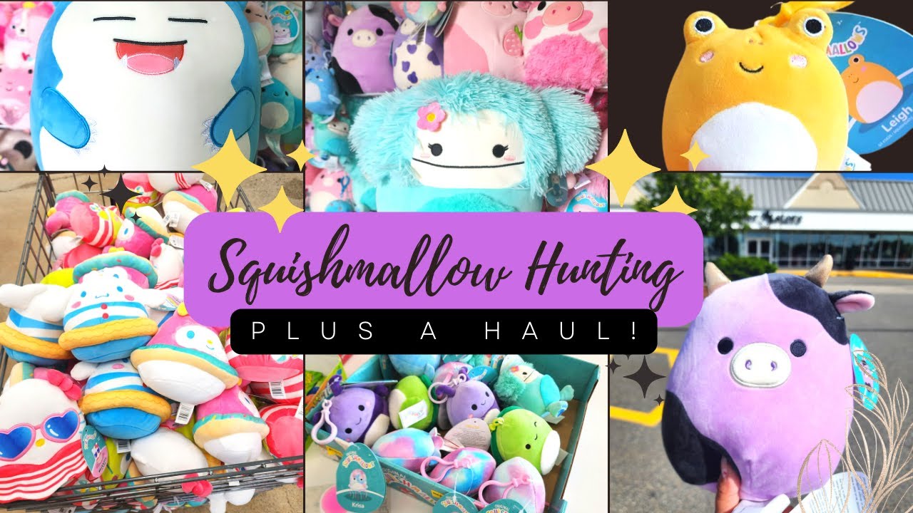SQUISHMALLOW HUNTING and HAUL! New Sanrio Squish, Summer Clip Squads, and Hunting for DISOs!