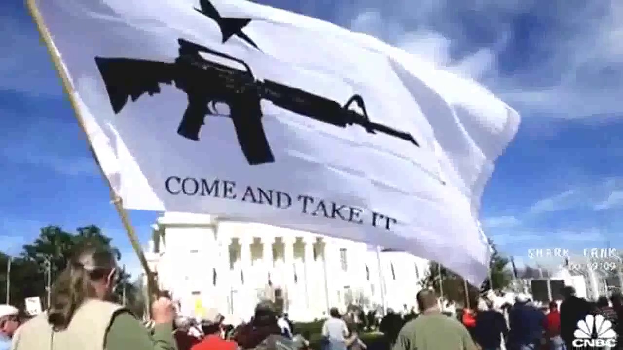 Discovery History: Rise of the AR-15-Americas Gun