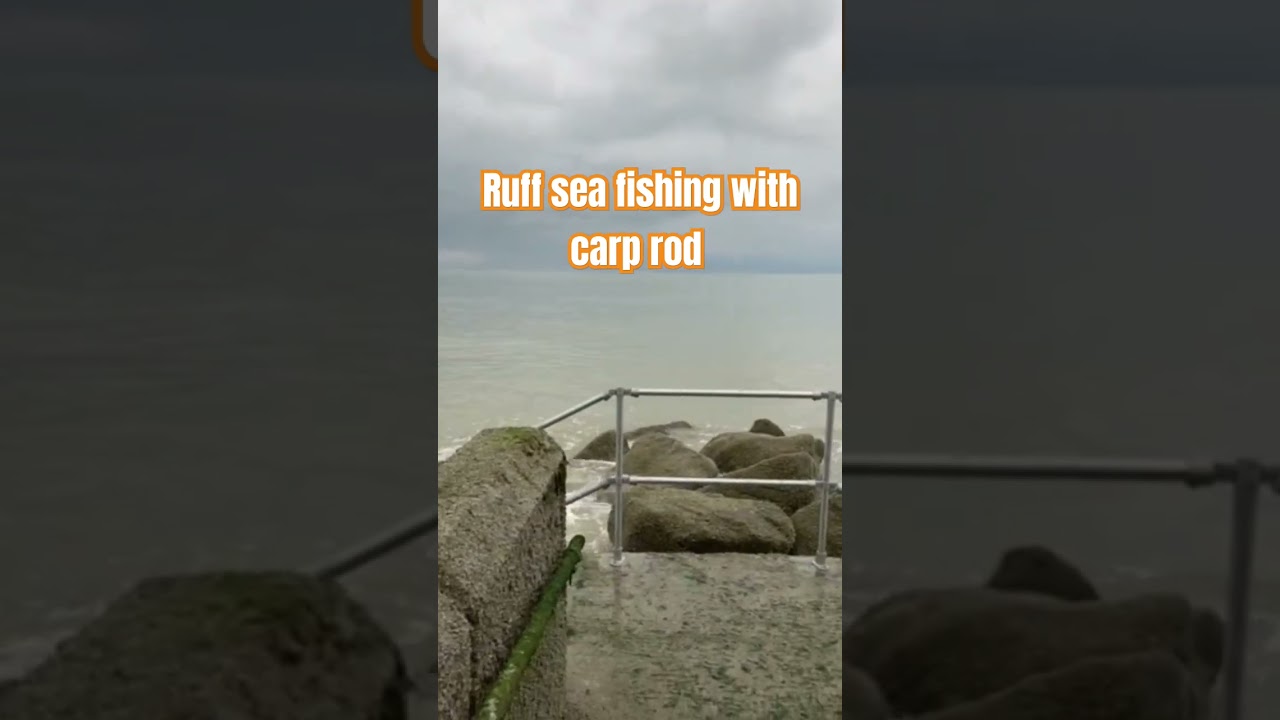 ruff sea fishing with carp rod #explore #stealth #carp #carpfishing #seafishing #seafishingvideo