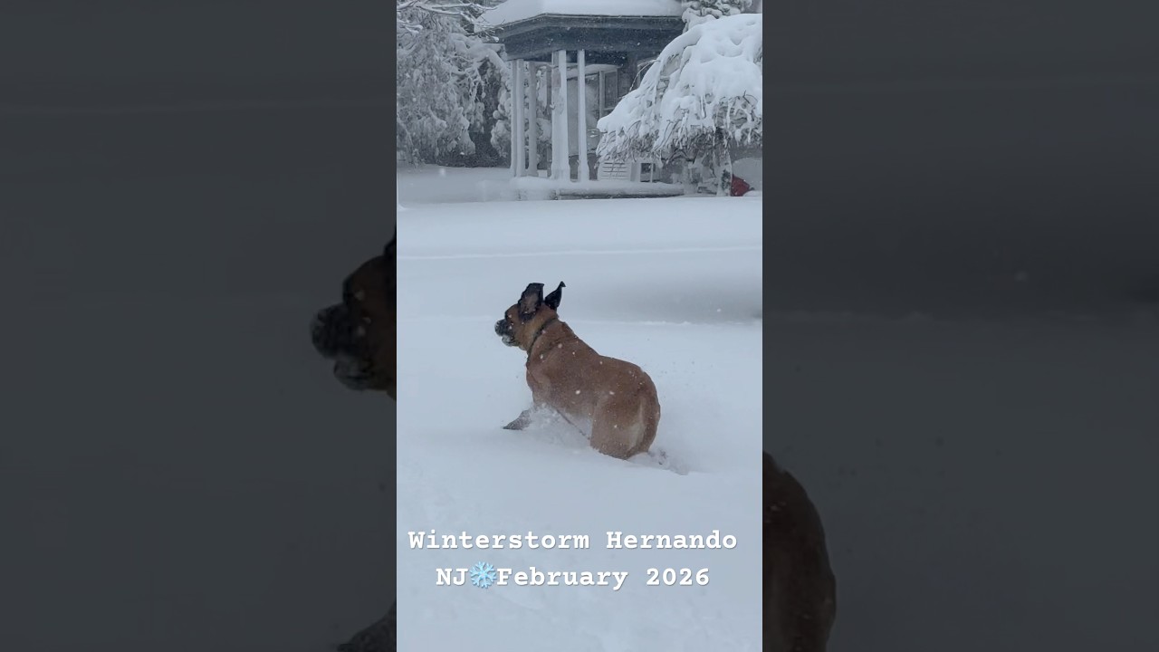 #winterstorm2026
