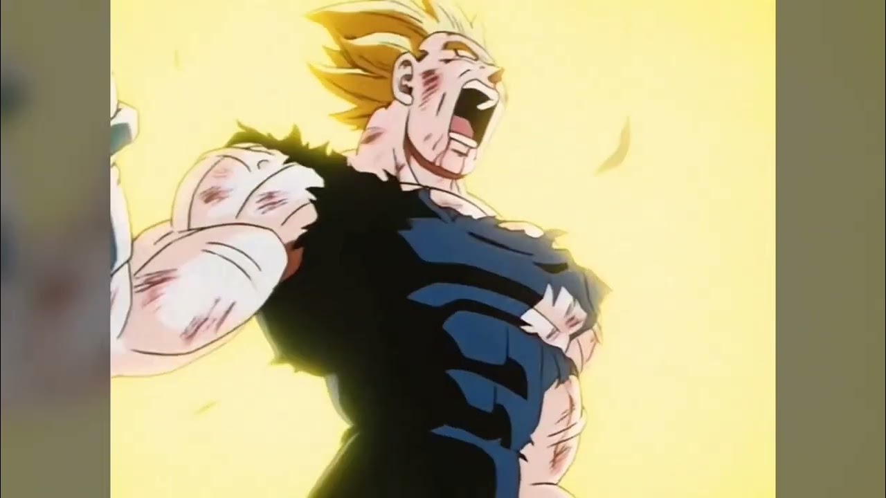 TFS Dragon Ball Z Abridged - Vegeta YES compilation