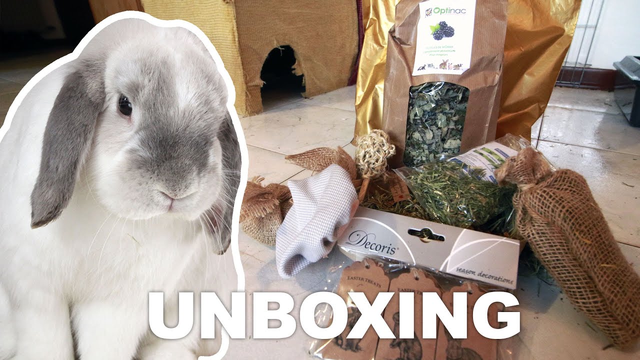 Unboxing friandises pour lapins