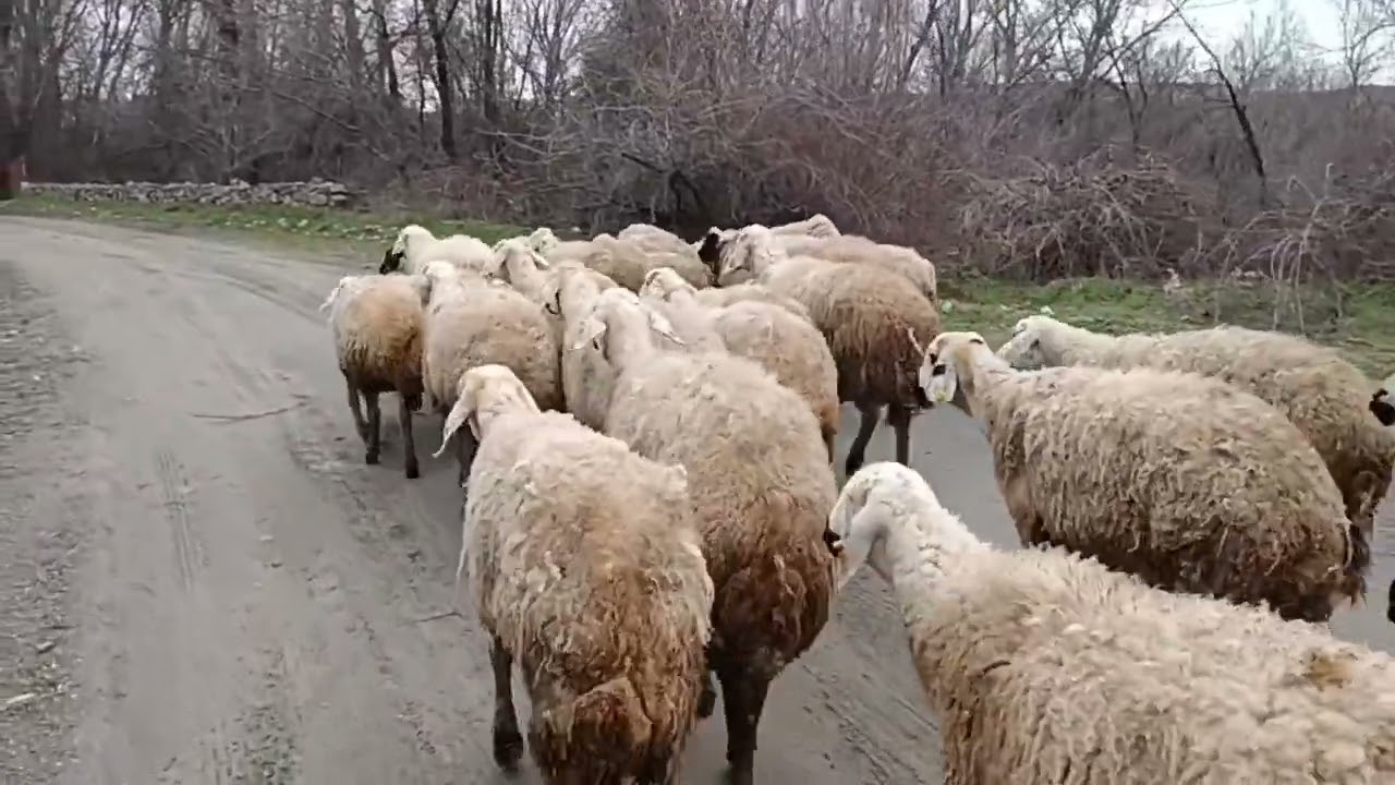 Çok yorucu bir gündü 😅