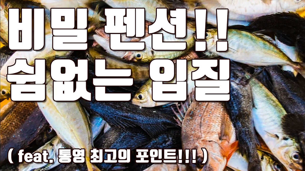 [다리tv] 특별한 초대로 경험하는 입질대박!!! ☆ 누구나 꿈꾸는 낚시 ☆