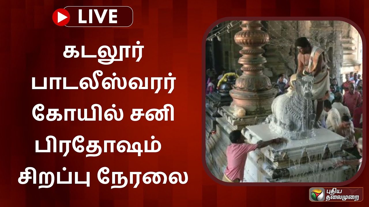 🔴LIVE : கடலூர் பாடலீஸ்வரர் கோயில் சனி பிரதோஷம் சிறப்பு நேரலை | PTS