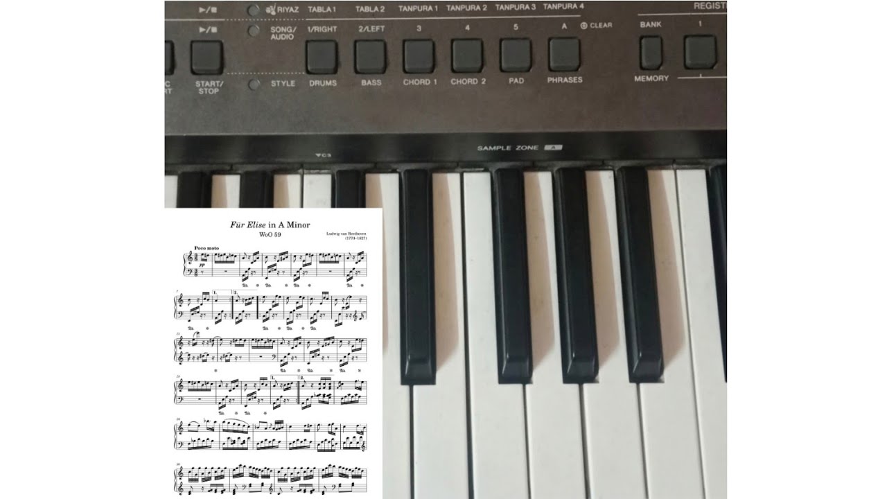 Fur Elise on Piano l Fur Elise Tutorial l How to play Fur Elise on Piano#keyboard #piano #furelise