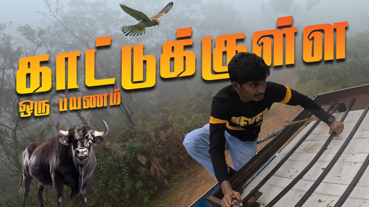 😂இதுவரை இப்டி குலுங்குனதில்ல🤪 - Kodaikanal trekking | Poombarai trekking | Kodaikanal Waterfalls