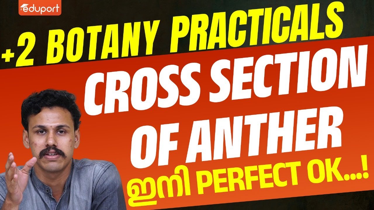 Plus Two Botany Practicals | Cross Section of Anther | Eduport Plus Two