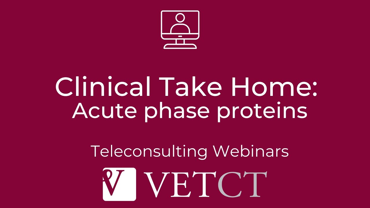 Clinical Take Home: Acute phase proteins with Dr. Kostas Papasouliotis