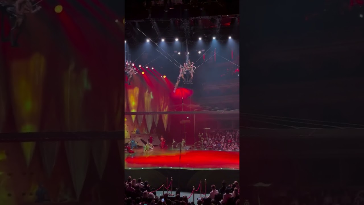 gasping and cheering with the audience 👏 #OVOCirque | Cirque du Soleil