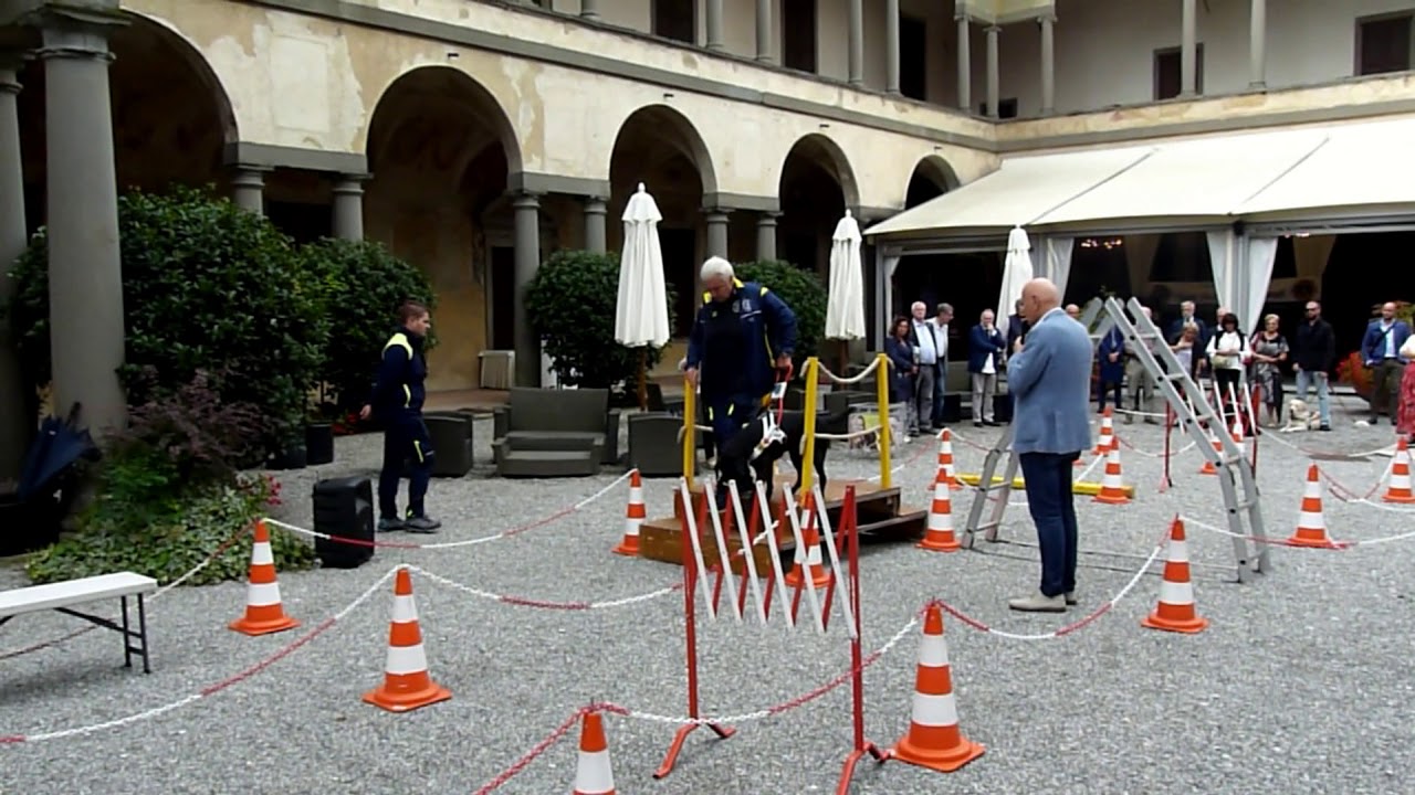 Caverpaga 2018: Il cane guida Lions
