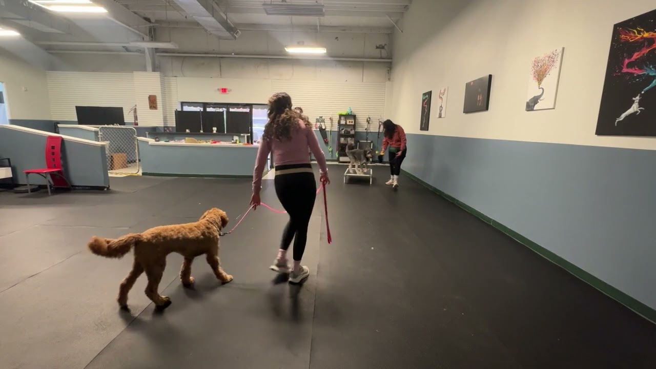 Lottie and Ollie