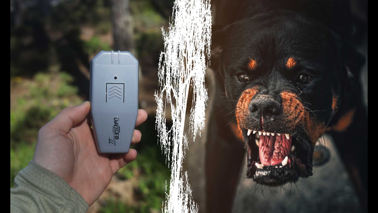 Czy odstraszacze psów działają? Testujemy Dazer II i Dogchaser II
