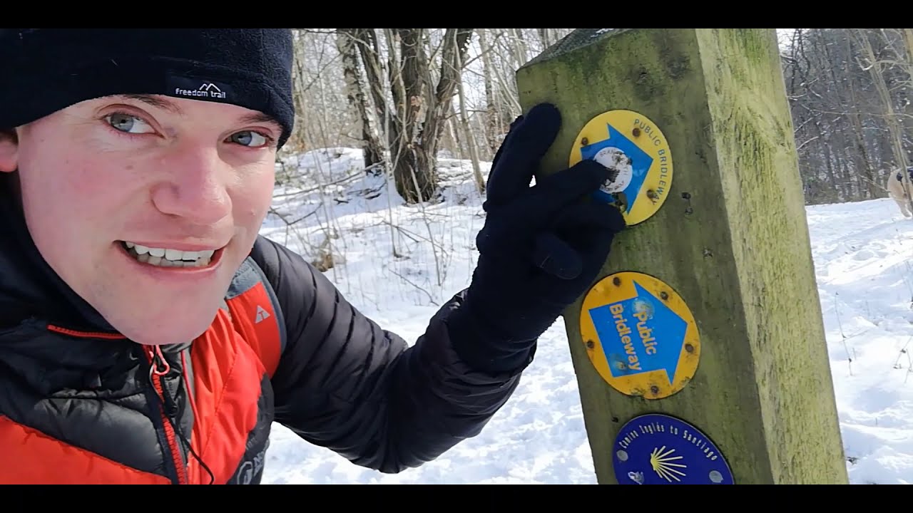 Spennymoor Cow Plantation Walk