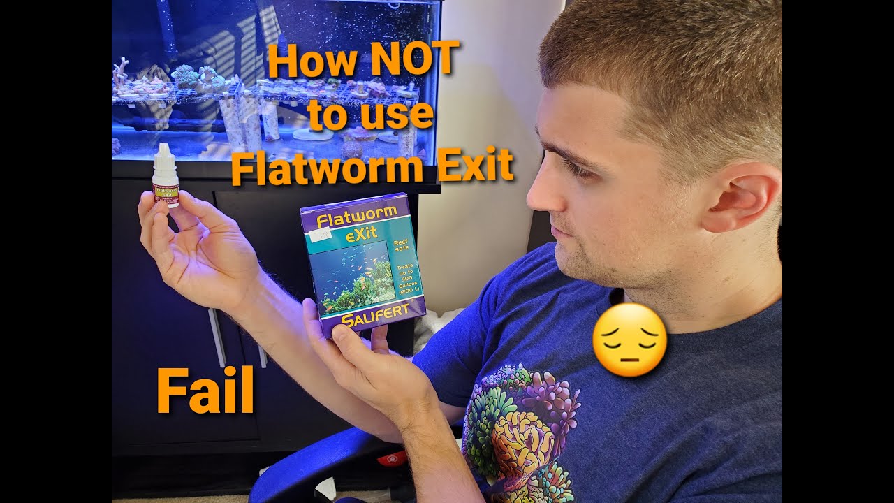How NOT to Use Salifert's Flatworm Exit- Learn From My Mistake