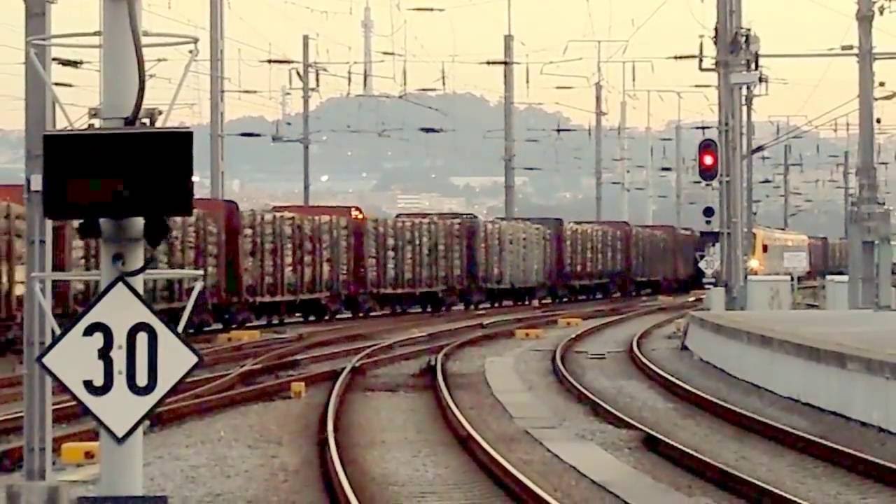 LD Euro 4000 335.021 Alpha Trains com o M 47806 {madeira} Tui-Leirosa CelBI (Campanh&atilde; - 30.08.2016)