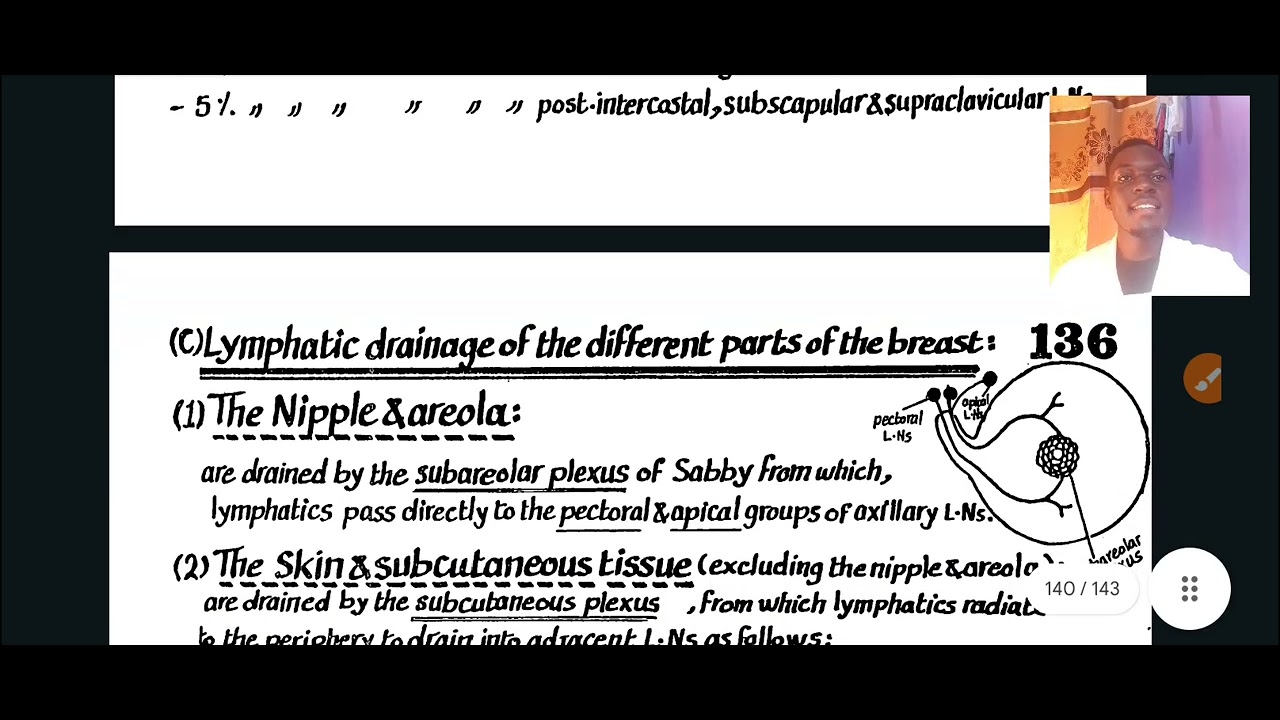 BLOOD SUPPLY,INNERVATION, VENOUS AND LYMPHATIC DRAINAGE OF THE BREAST
