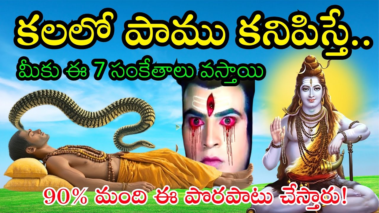 కలలో పామును చూస్తే ఈ 7 సంకేతాలు వస్తాయి 🐍 | 90% మంది ఈ పొరపాటు చేస్తారు! | Kalalo Paamu