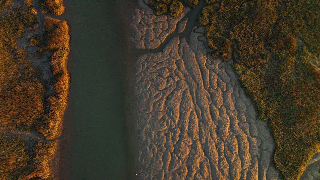 Beauty From Above || Sullivan's Island, SC