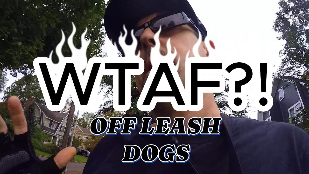 OFF LEASH DOGS WTF?